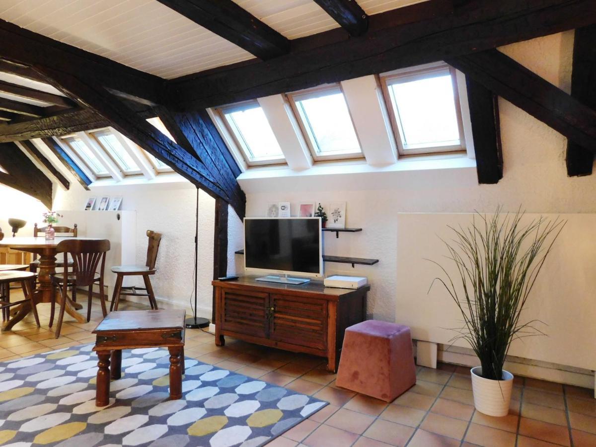 Appartement Typique Et Cosy A Deux Pas De La Cathedrale Straßburg Exterior foto